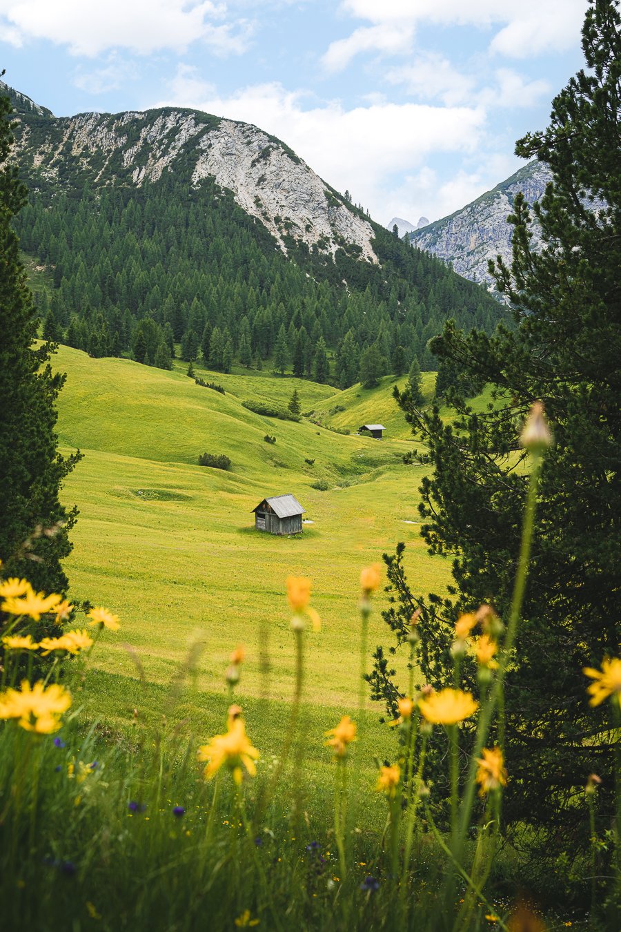 Fotografia paesaggio — scatto verticale natura