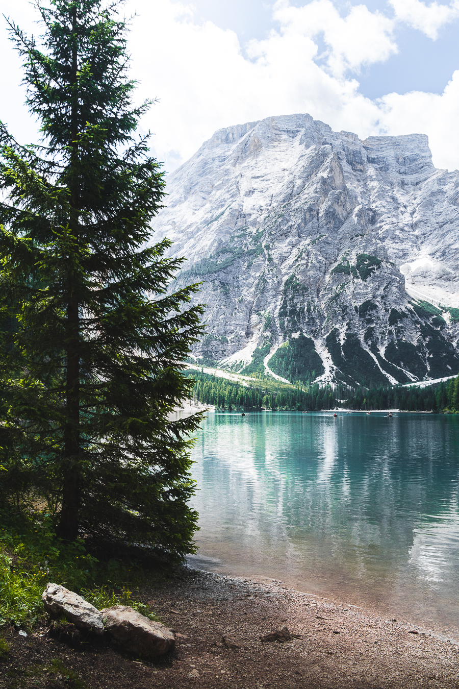 Installazione lightbox — mostra fotografica