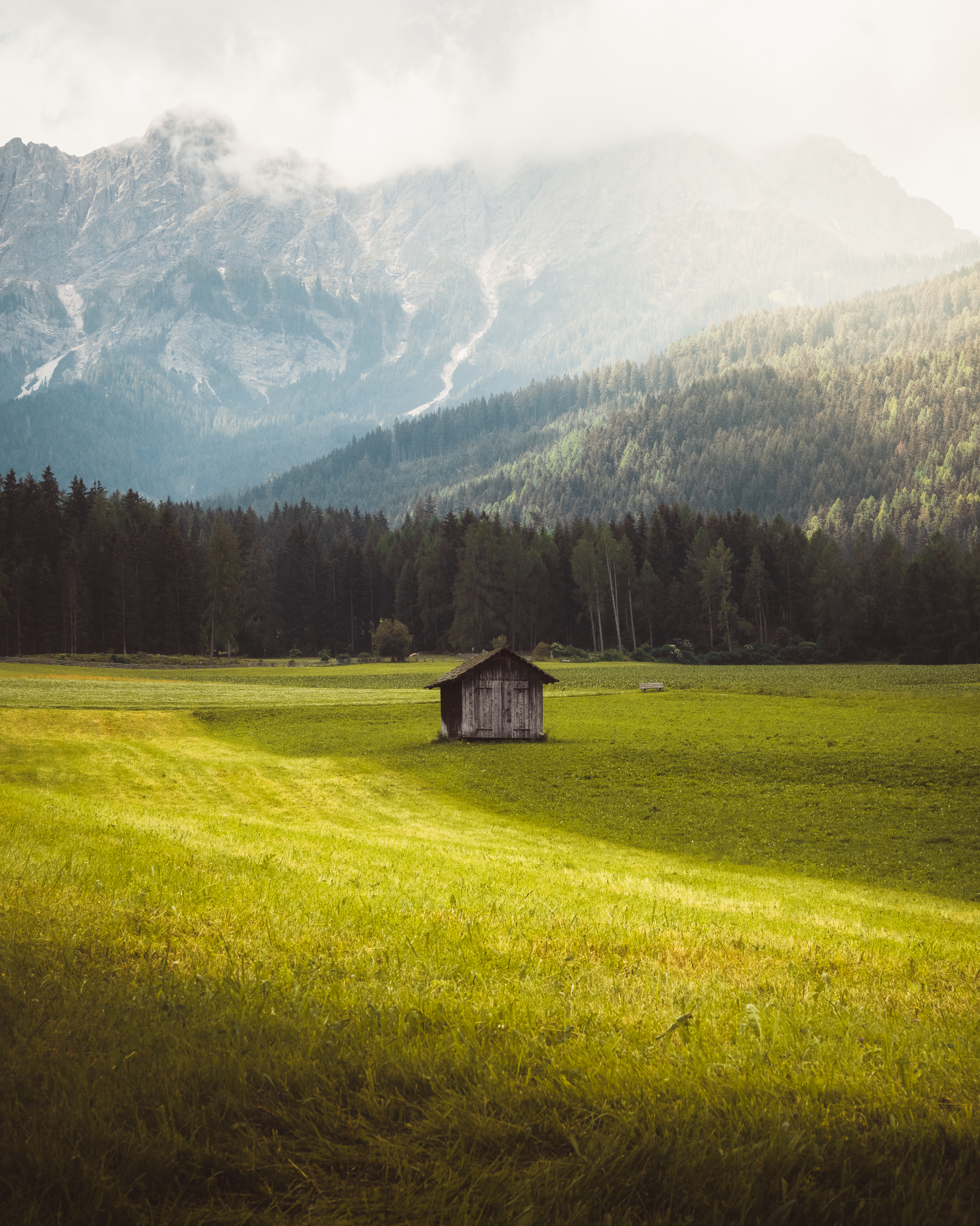 Fotografia reframed — elaborazione visiva